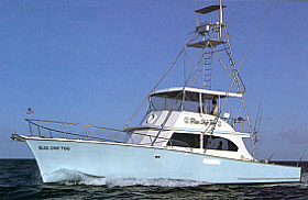 Blue Chip Too Boat Picture