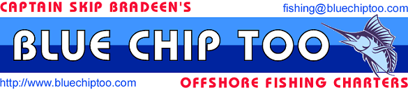 Captain Skip Bradeen's - Blue Chip Too, Offshore Fishing Charters